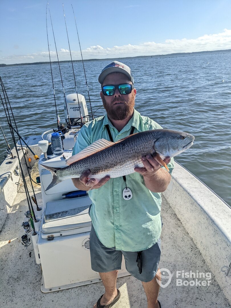 Beaufort Report Photo 0