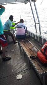 Mahimahi, Yellowfin Tuna