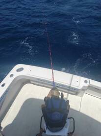 SECOND DAY.... SECOND FISH!!!!!