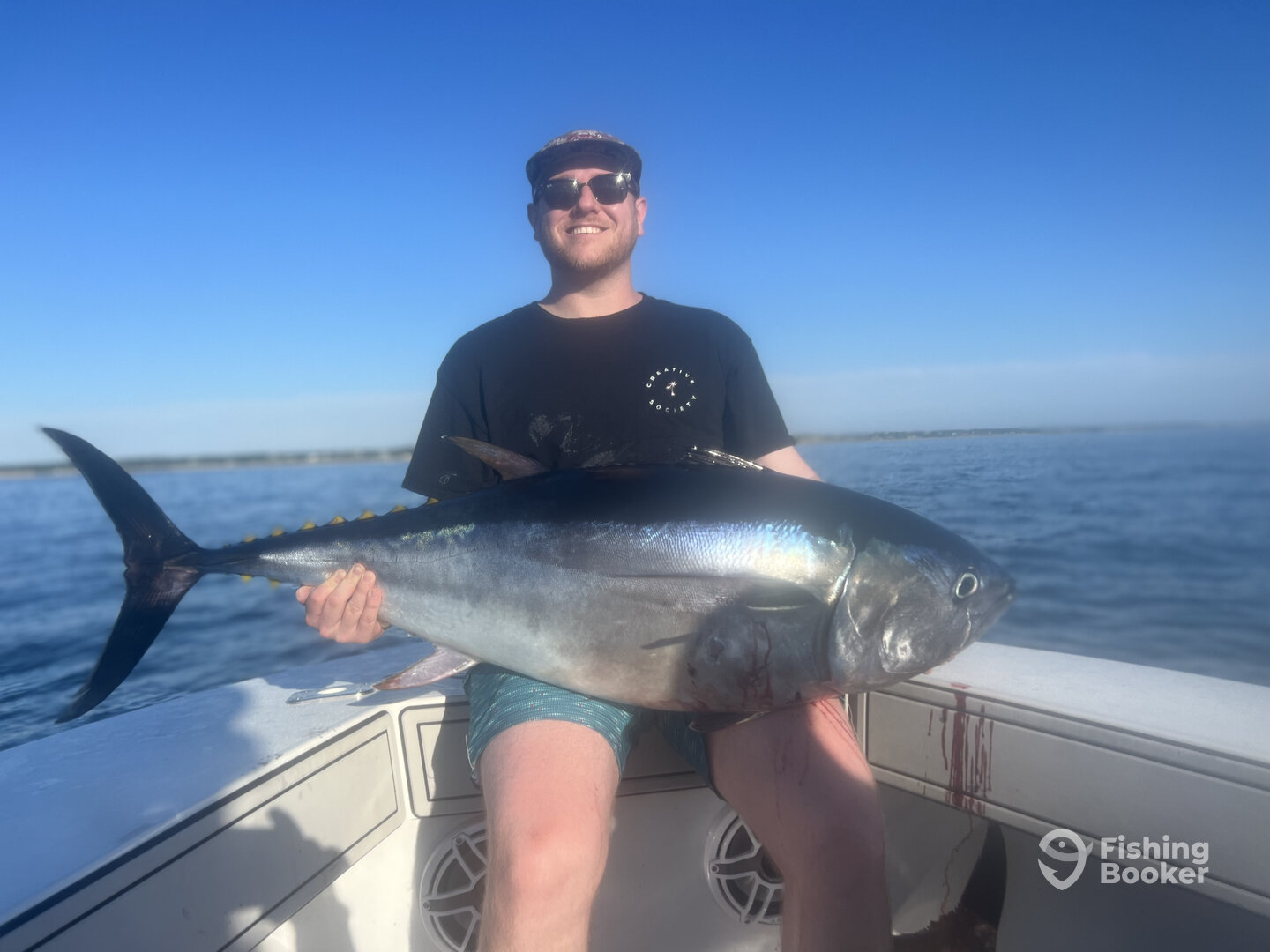 Dennis Report Photo 0