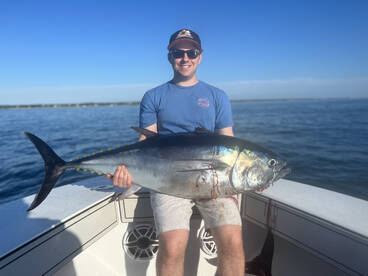 Dennis Report Photo 1