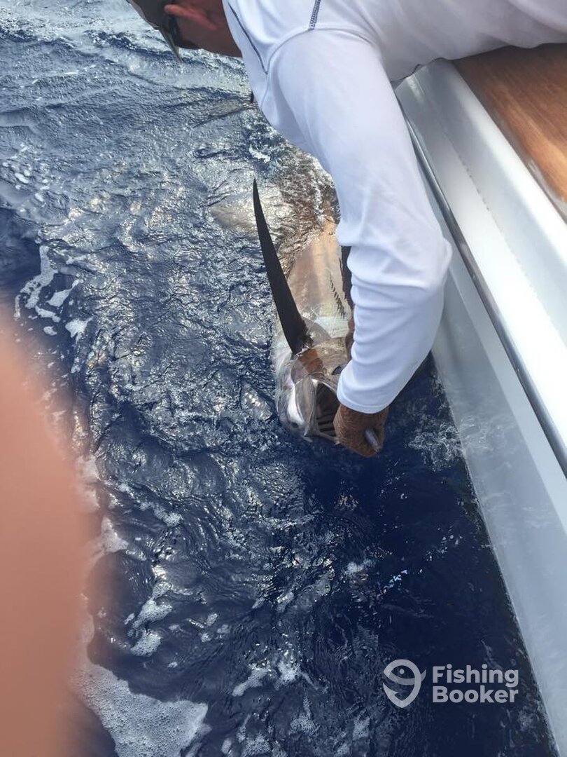 Port Vila Report Photo 0