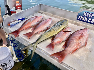 Shalimar Report Photo 2