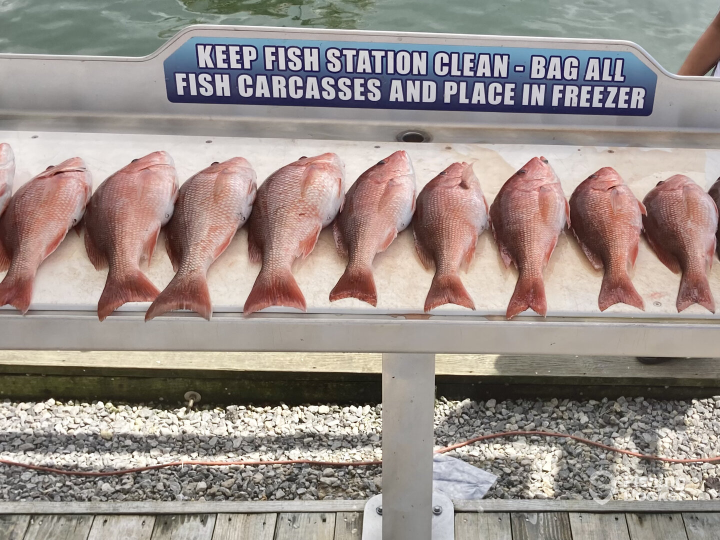 Shalimar Report Photo 0