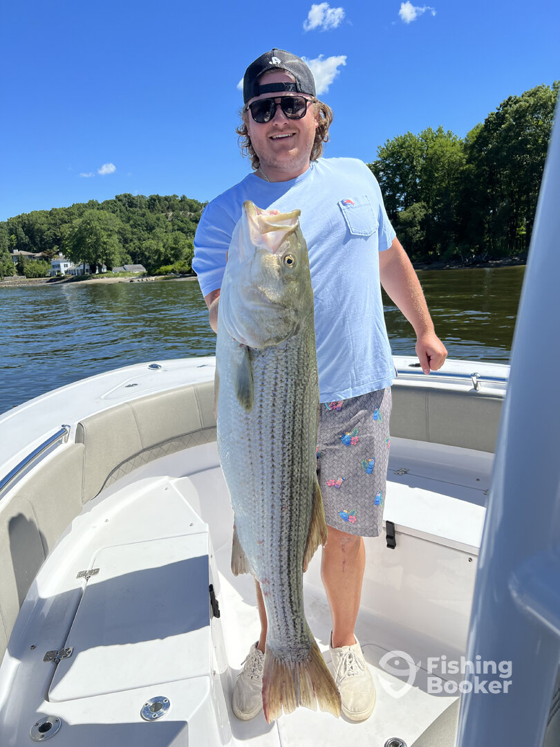 Old Lyme Report Photo 0