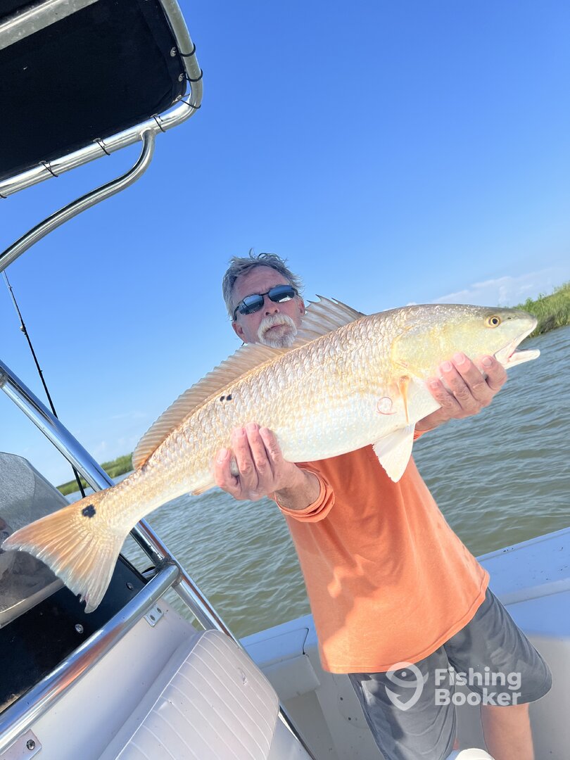 Venice Report Photo 0