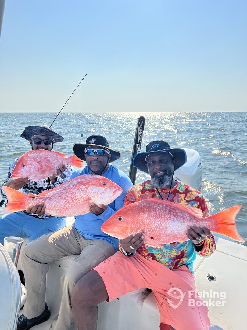 Venice Report Photo 0