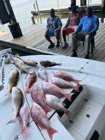 Venice Report Photo 1