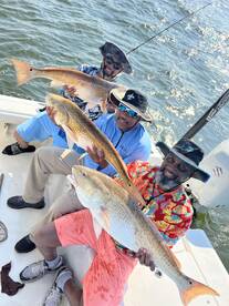 Venice Report Photo 2