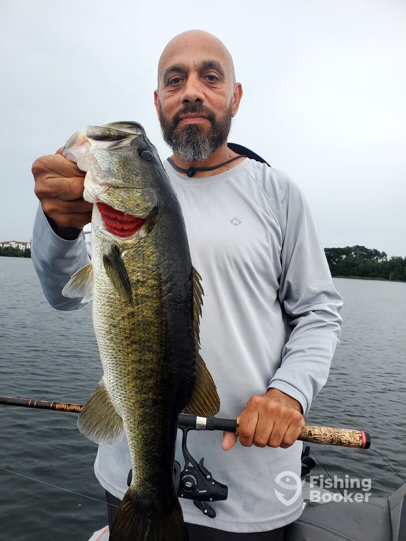 Orlando Report Photo 0