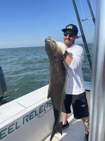 Virginia Beach Report Photo 1