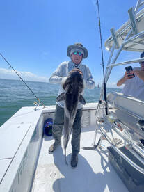 Virginia Beach Report Photo 2