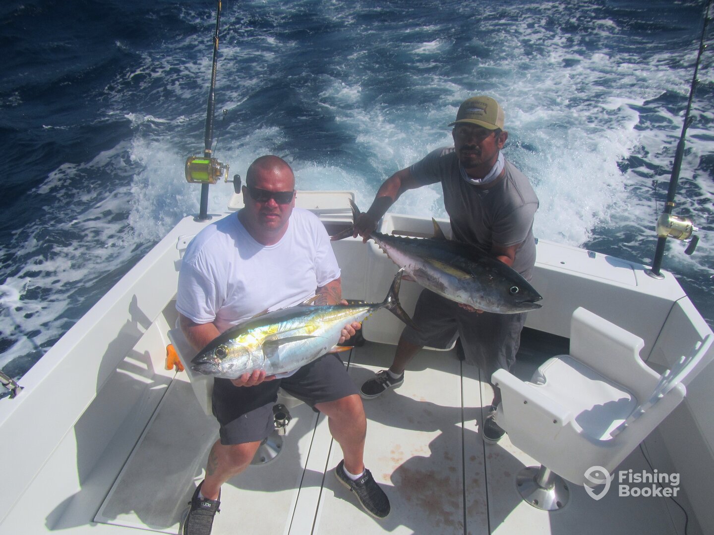 Cabo San Lucas Report Photo 0