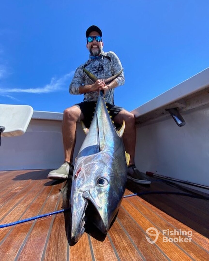 Hog Bay Report Photo 0