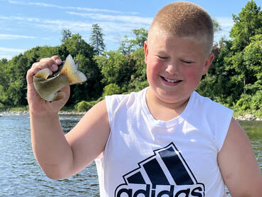 Baldwin Report Photo 2