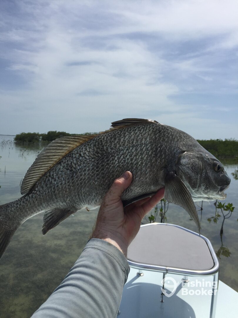 Key Largo Report Photo 0