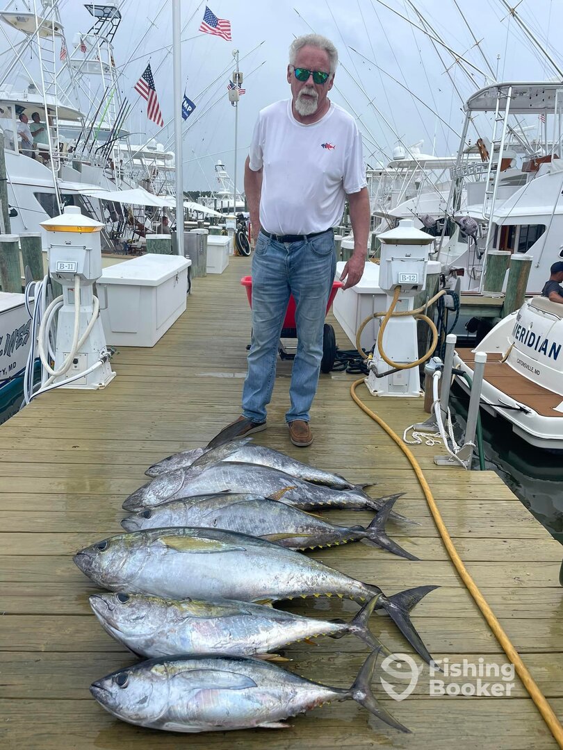 Ocean City Report Photo 0