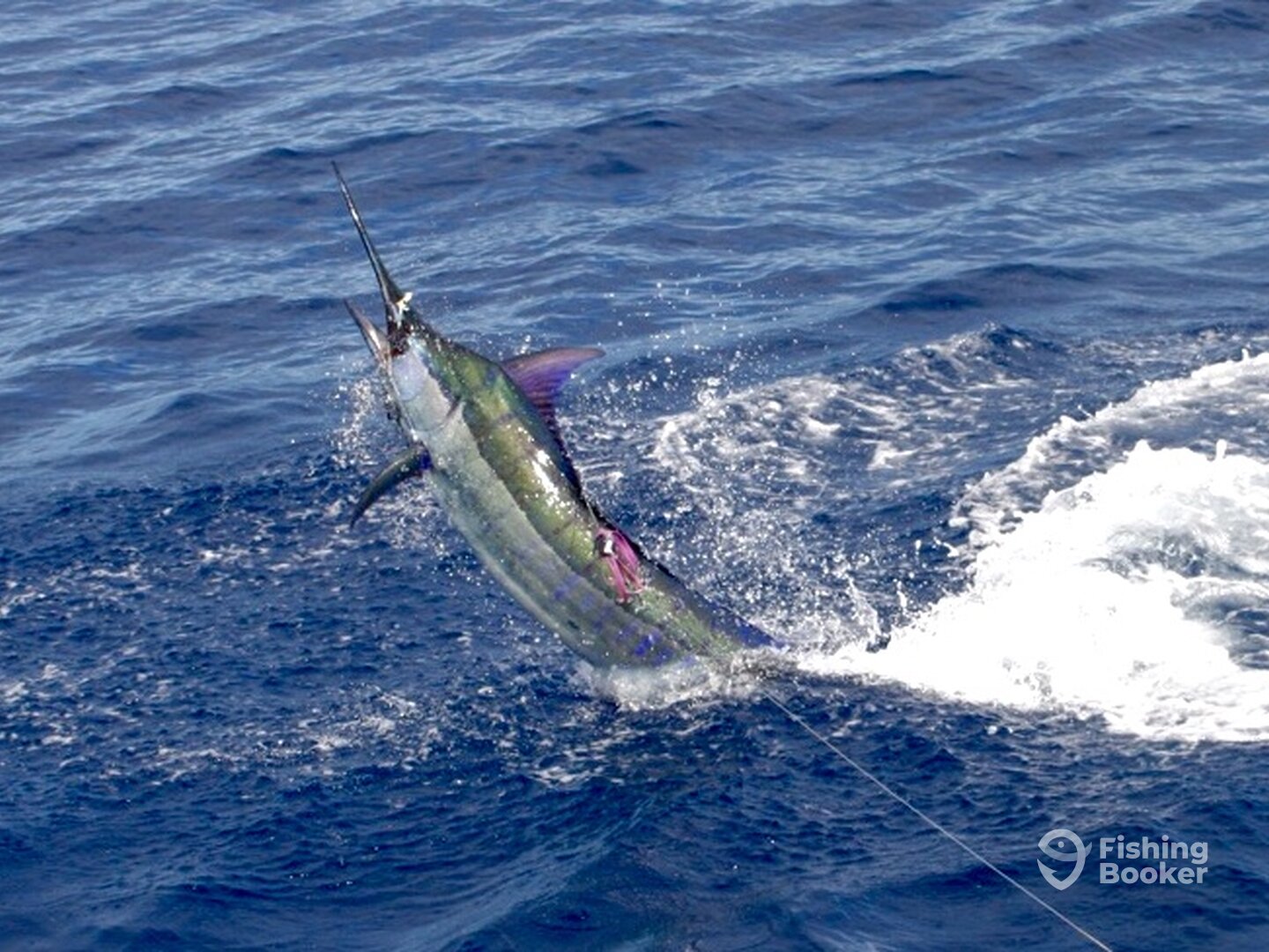 Port Vila Report Photo 0