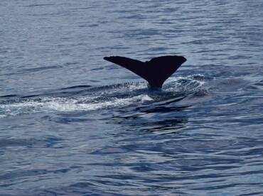 Port Vila Report Photo 1