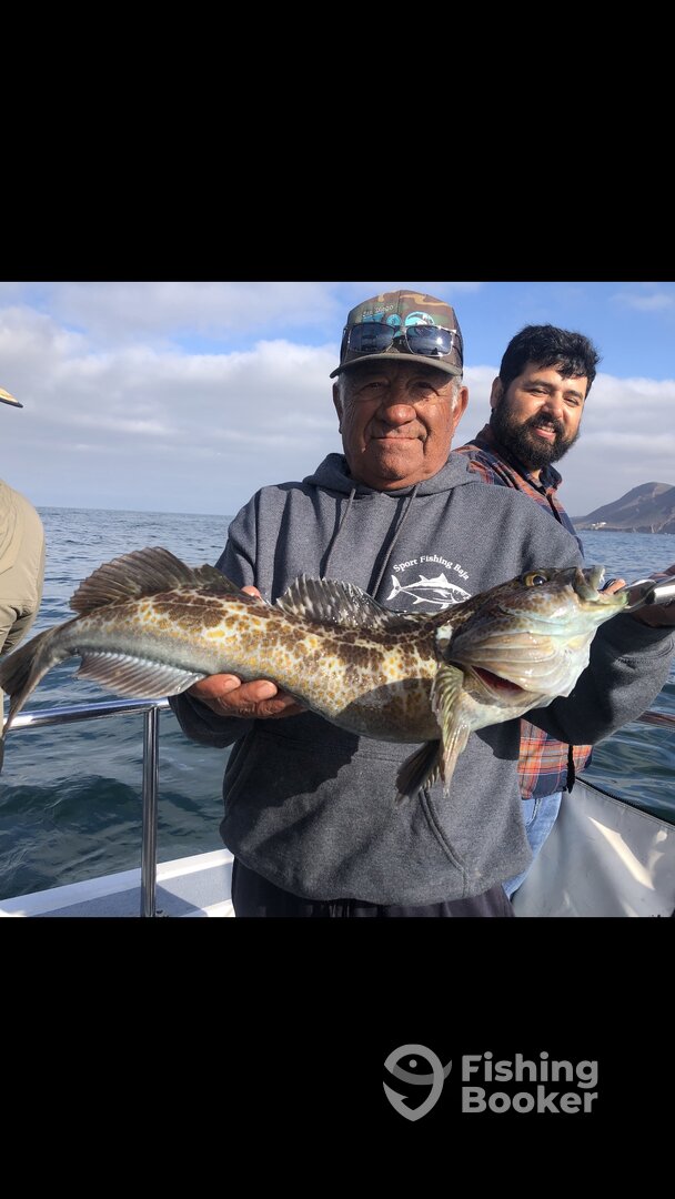 Ensenada Report Photo 0