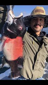 Ensenada Report Photo 1