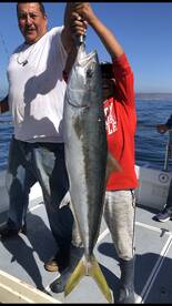 Ensenada Report Photo 2