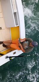 Wanchese Report Photo 2