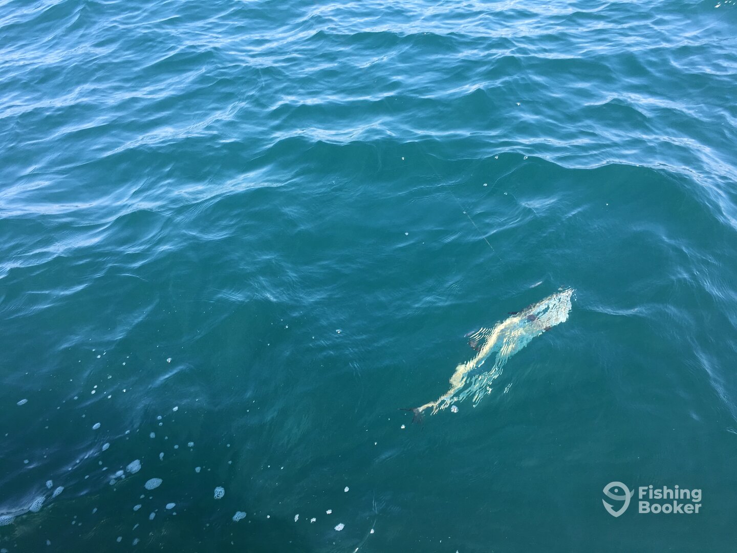 Freeport Report Photo 0