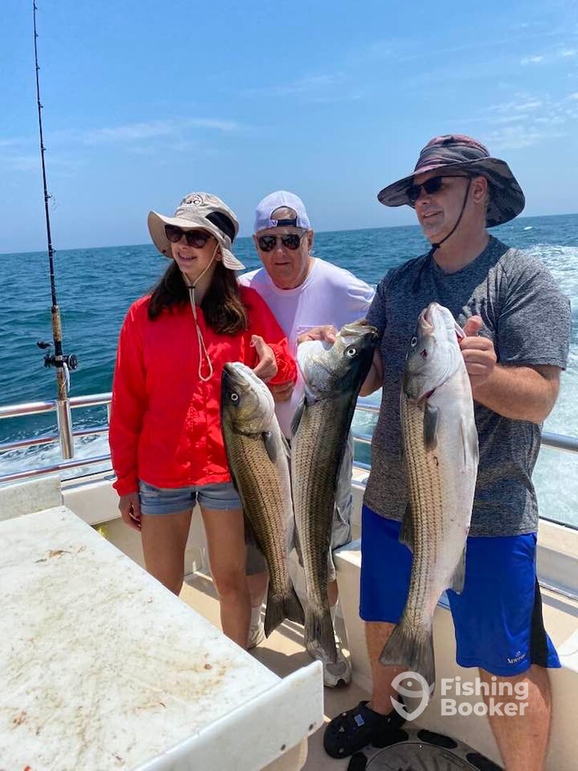 Montauk Report Photo 0