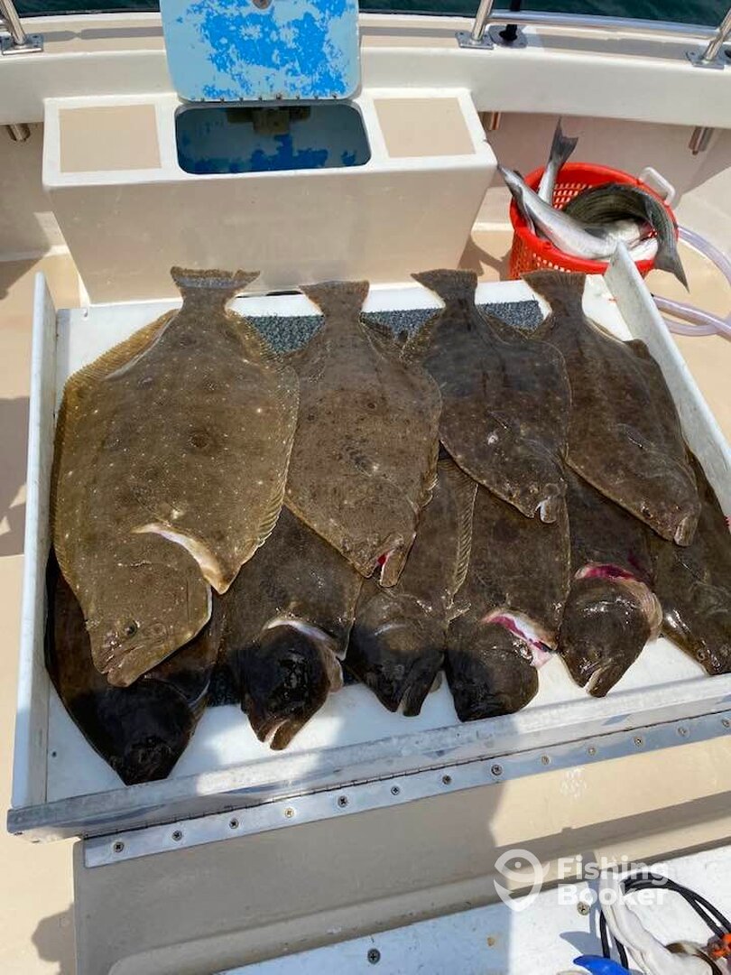 Montauk Report Photo 0