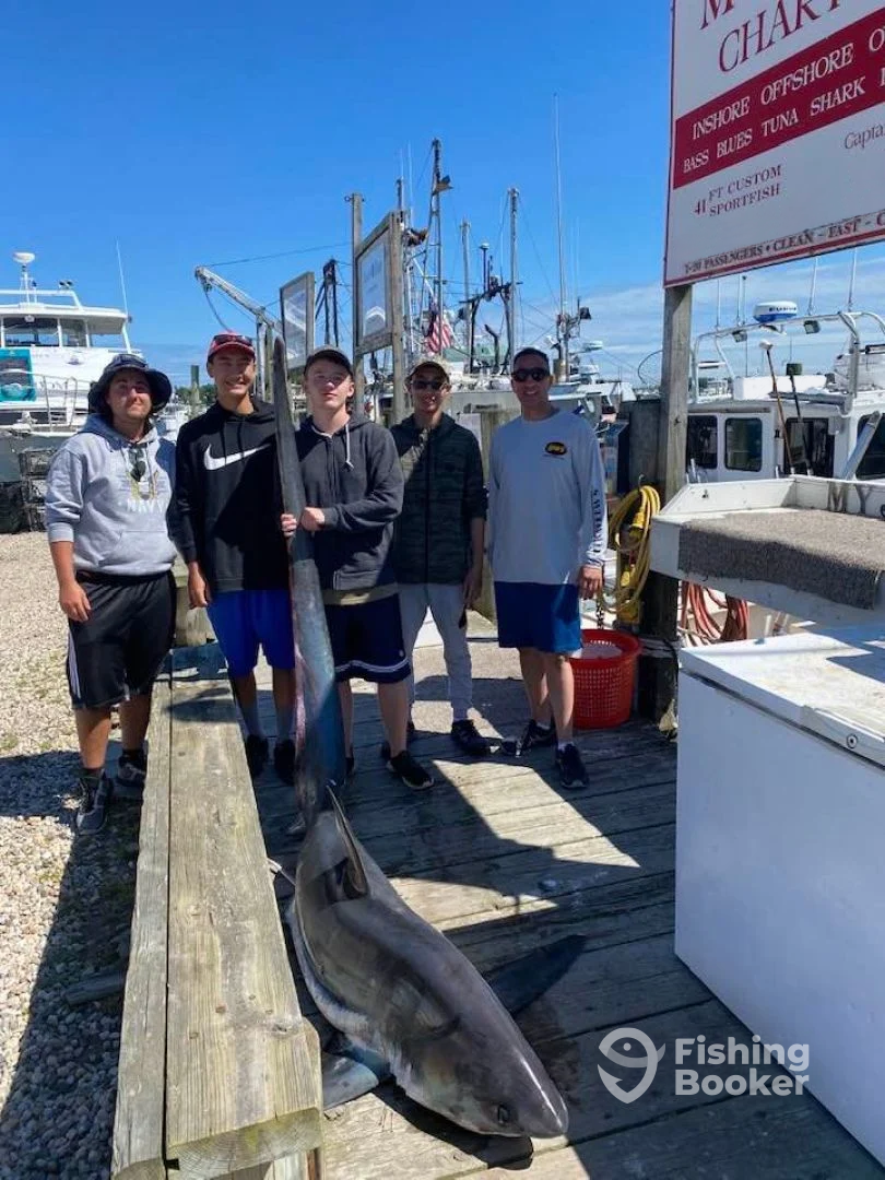 Montauk Report Photo 0