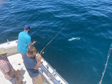 Nags Head Report Photo 1