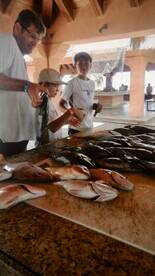 San Jose del Cabo Report Photo 2