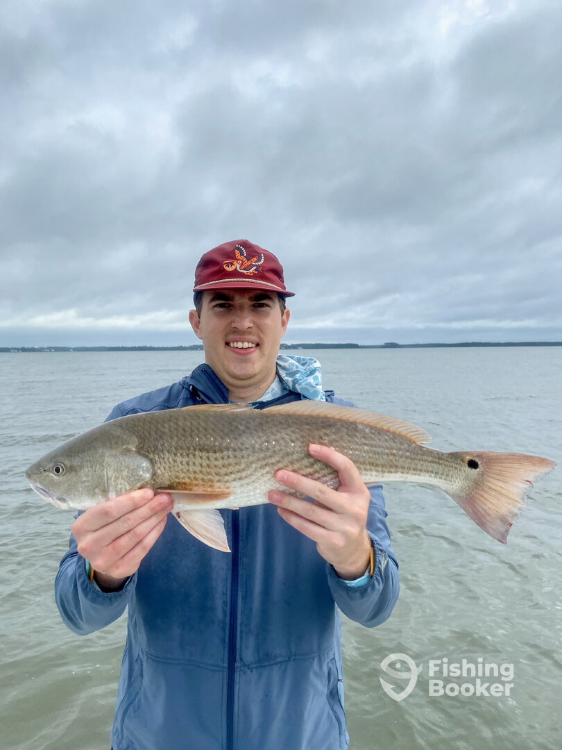 Beaufort Report Photo 0