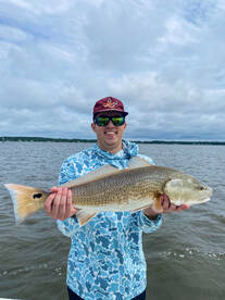 Beaufort Report Photo 1