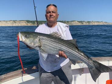 Block Island bass and blue