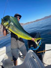 Loreto Report Photo 2