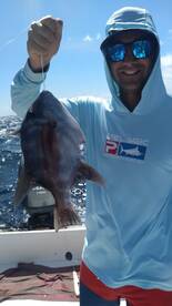 Playa Del Carmen Report Photo 1