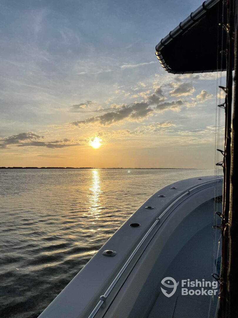 Jacksonville Report Photo 0