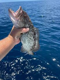 Jacksonville Report Photo 1