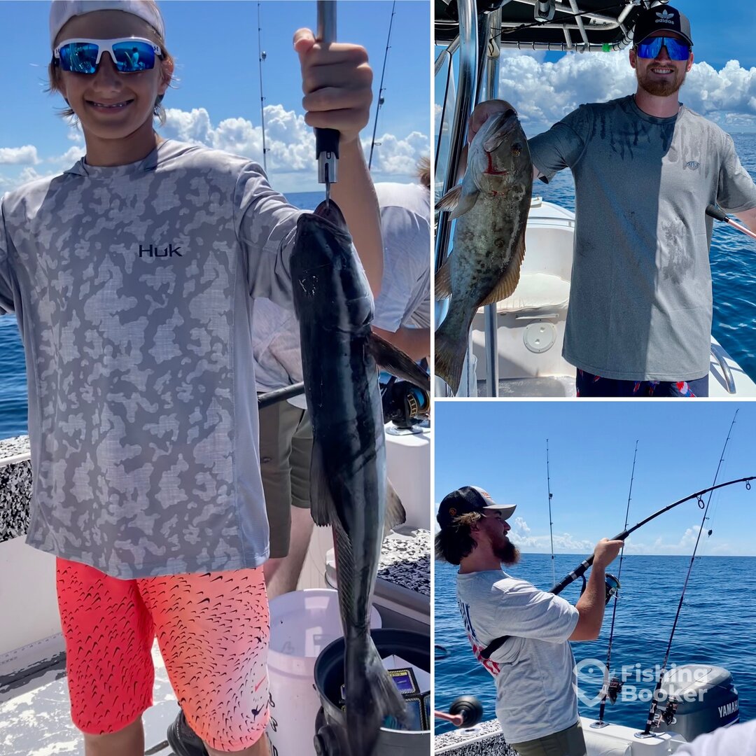 Shalimar Report Photo 0