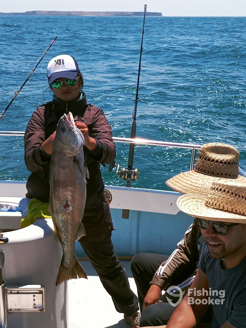 Ensenada Report Photo 0