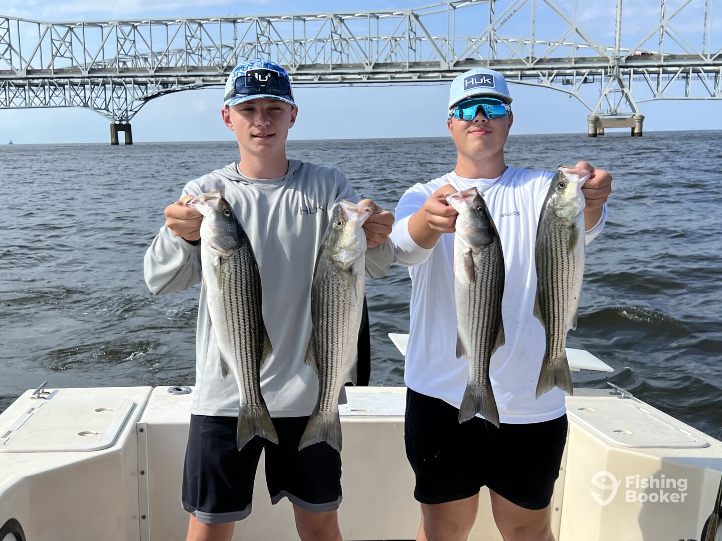 Bellevue Report Photo 0