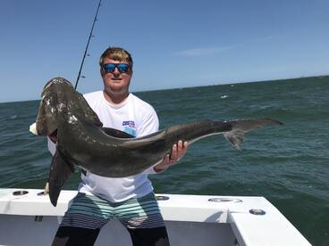 50lb Cobia and Citation Release Red Drum