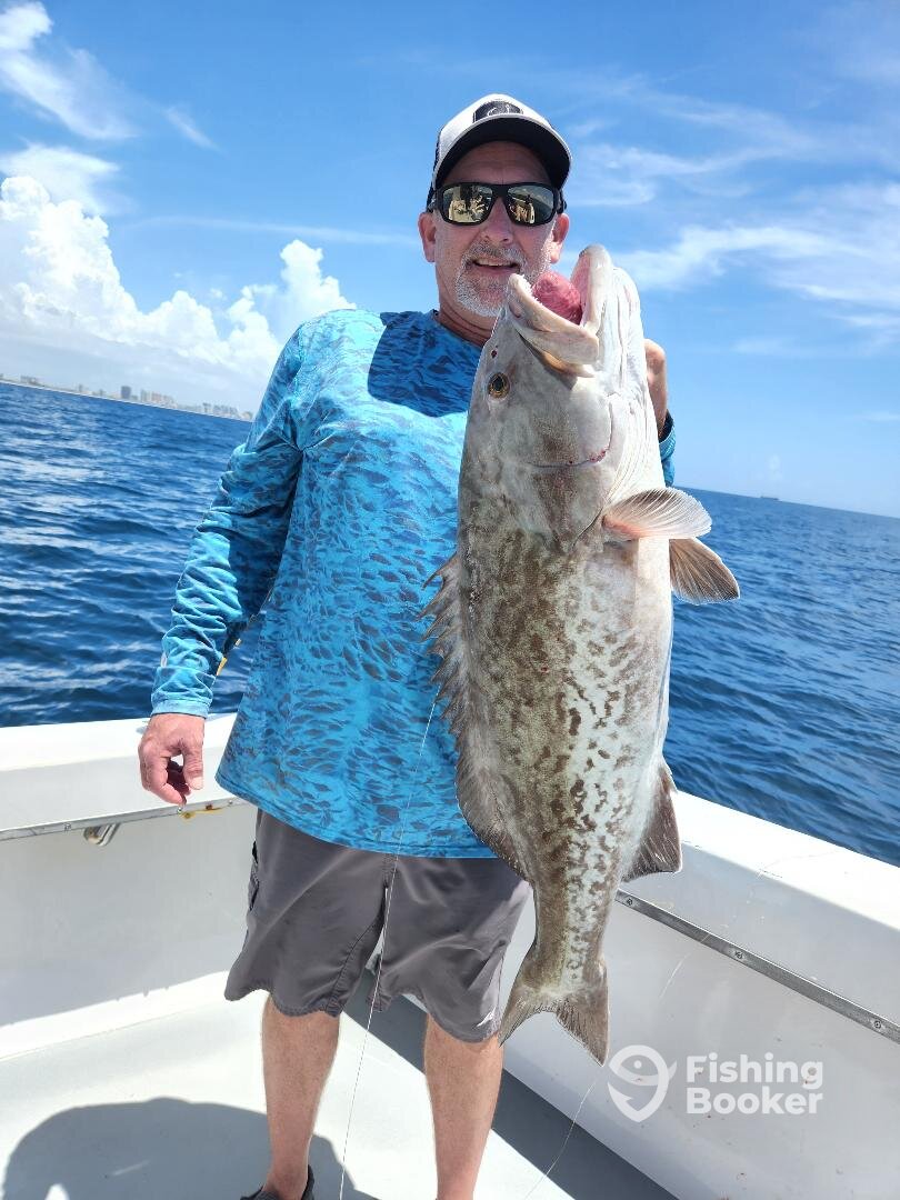 Dania Beach Report Photo 0