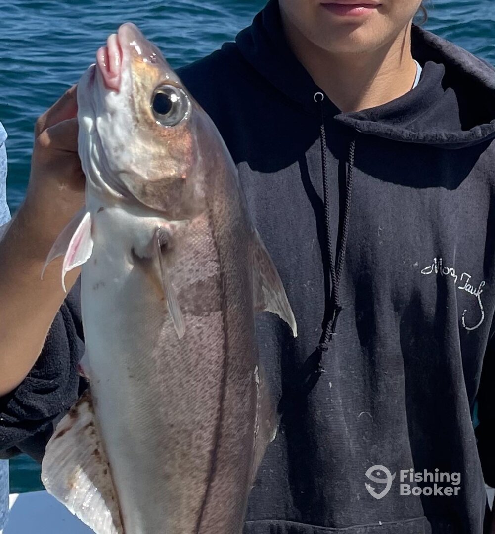 Gloucester Report Photo 0