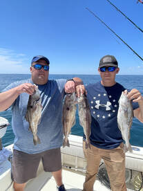 Gloucester Report Photo 2