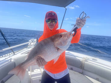 Hot Grouper and Snapper bite continues!