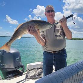 Bonita Springs Report Photo 1