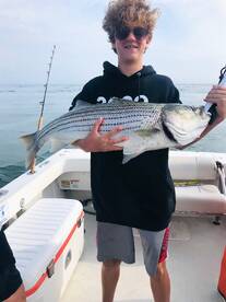 Dennis Report Photo 1